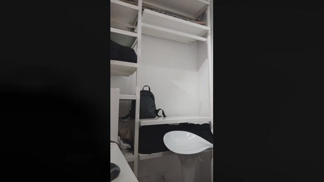DahliaSegreta  06-05-2022